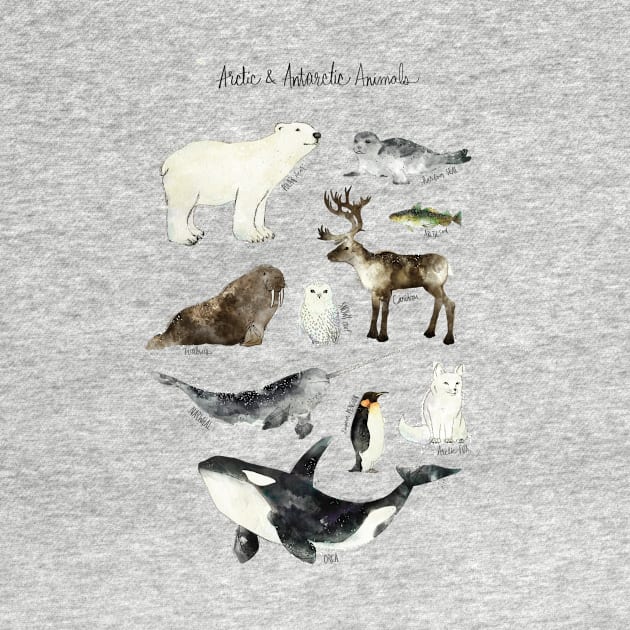 Arctic Animals by Amy Hamilton